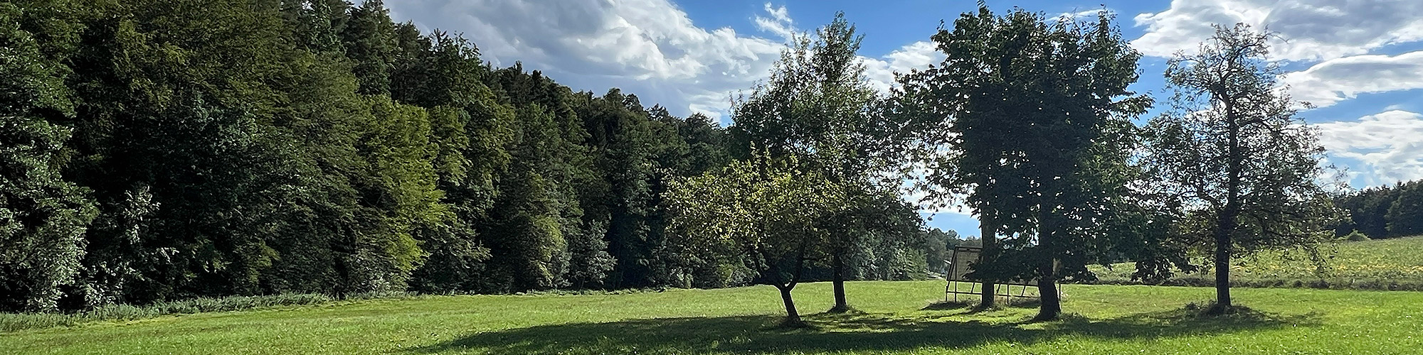 Zeilarn im Sommer