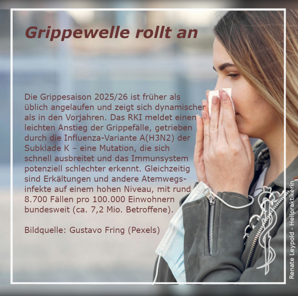 Grippewelle rollt an