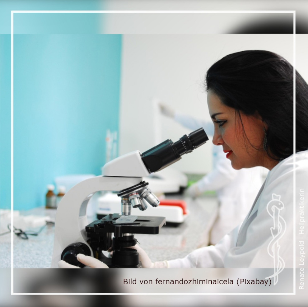 Bild: fernandozhiminaicela (pixabay)