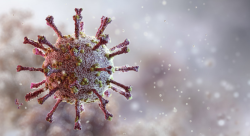 Feline Coronavirus-Virion (FCoV)